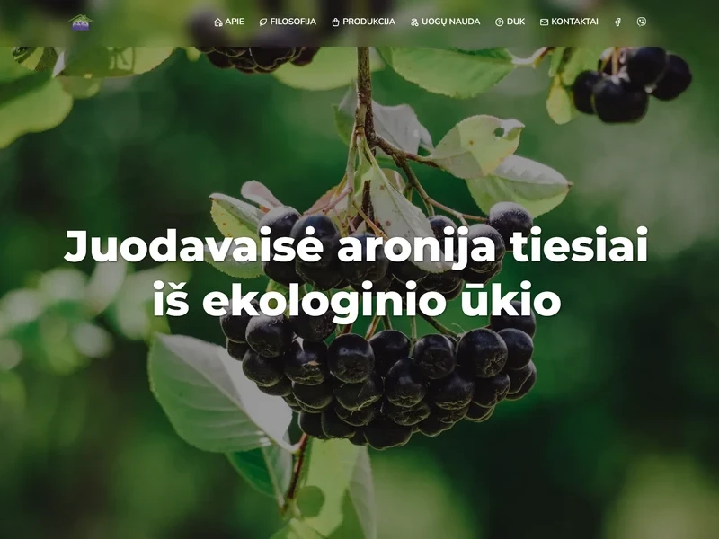 Aronijos - organic aronia berry farm website with local SEO